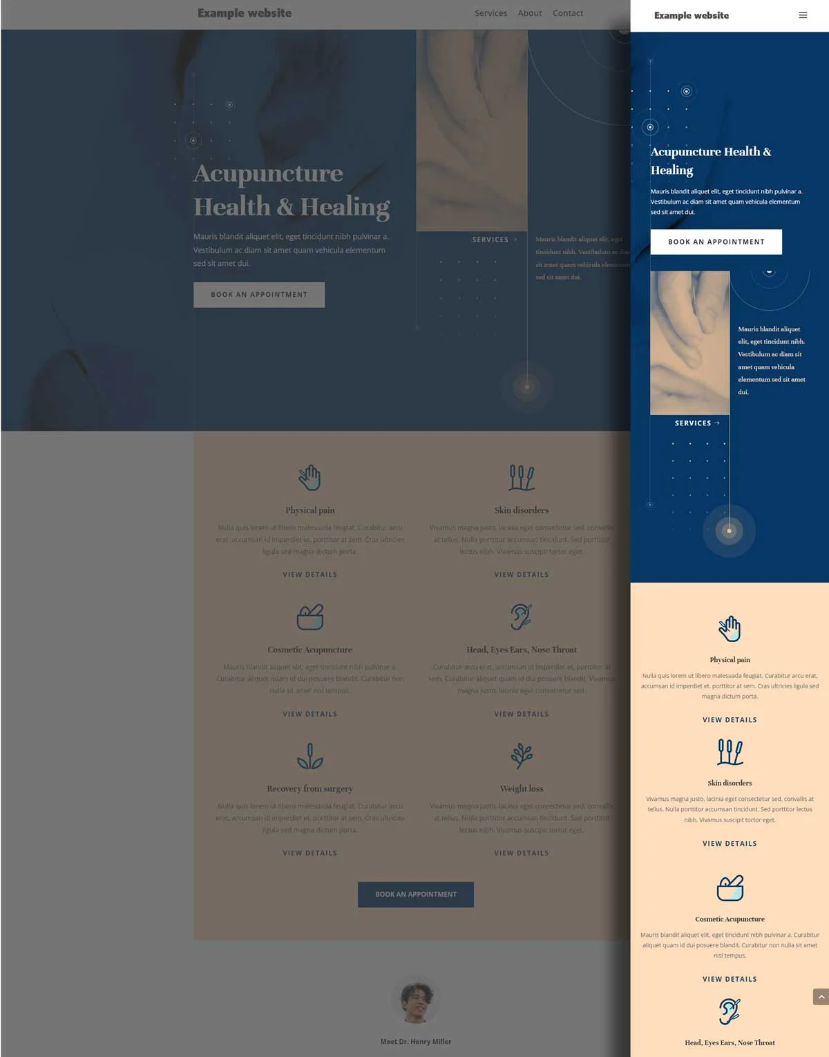 design of Acupuncture-website-example-with-responsive-design