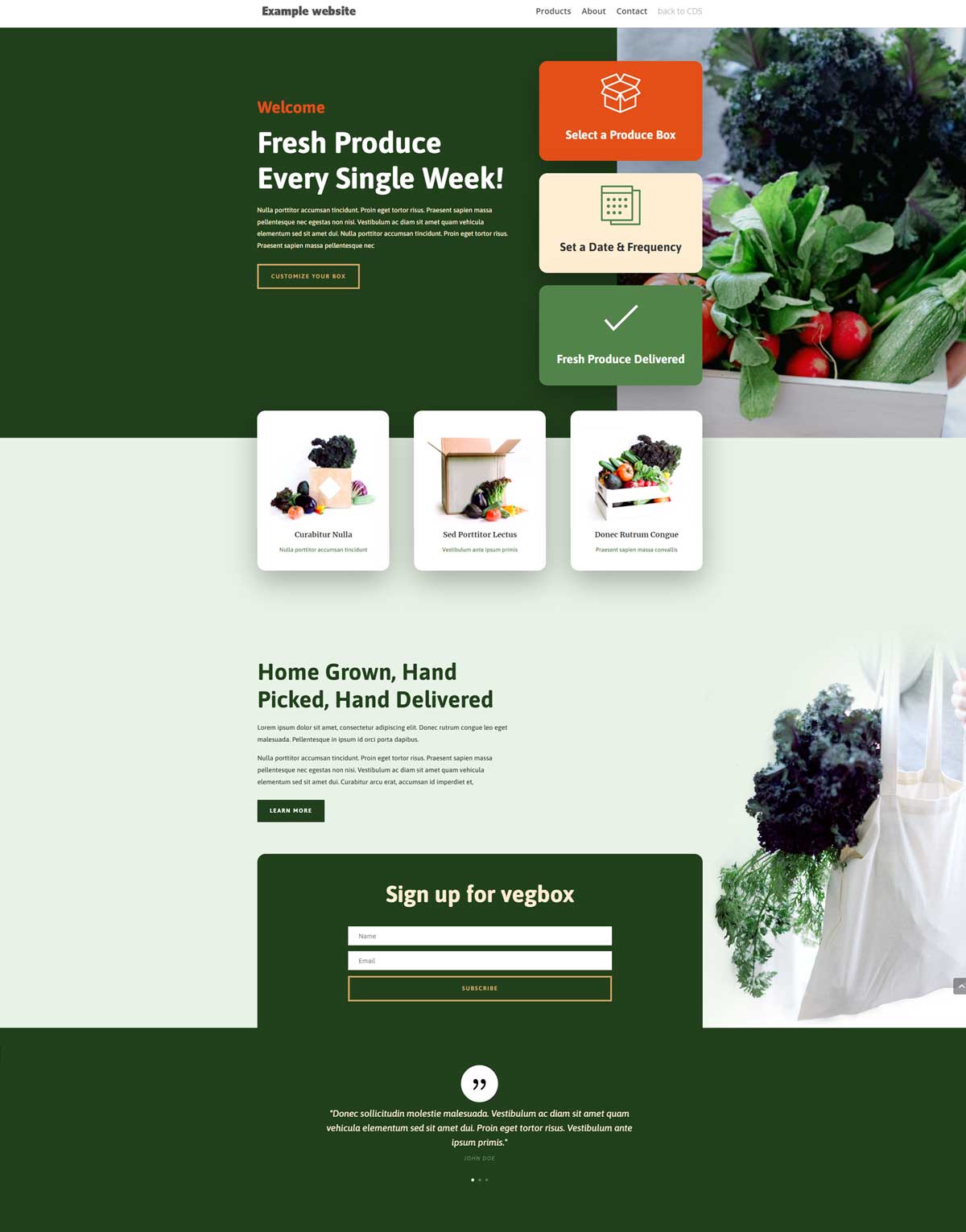 design of Vegbox-website-example